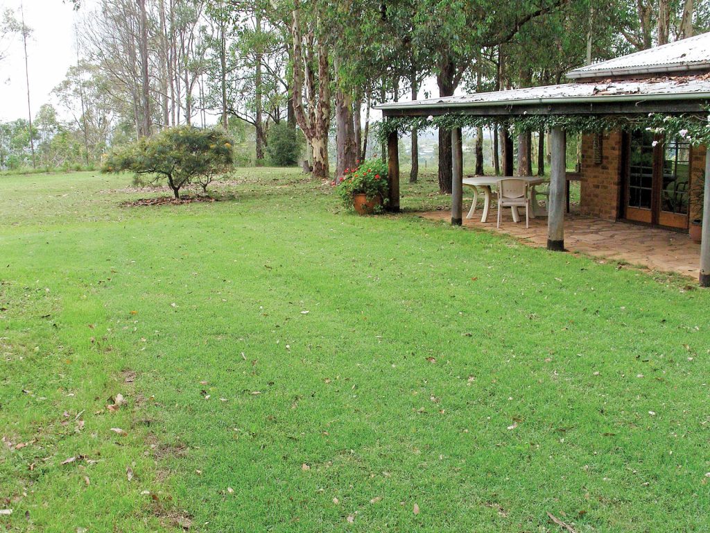 Zoysia Shade Tolerance Chart