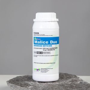 Indigo Malice Duo 1L