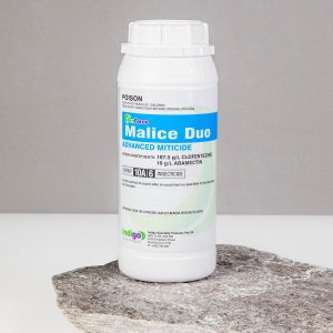 Indigo Malice Duo 1L