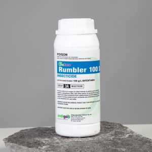 Indigo Rumbler 100SC 1L