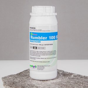 Indigo Rumbler 100SC – 1L