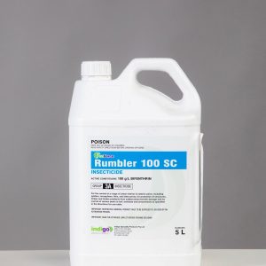 Indigo Rumbler 100SC 5L