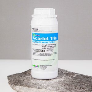 Indigo Scarlet Trio 1L