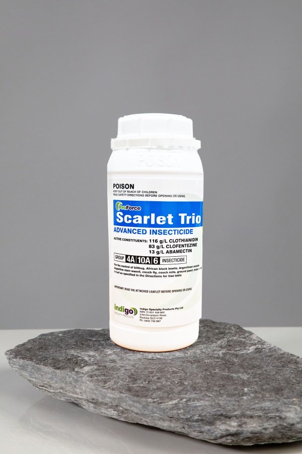 Indigo Scarlet Trio 1L