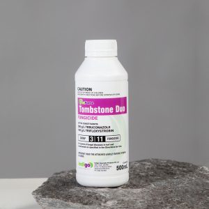 Indigo Tombstone Duo 500mL
