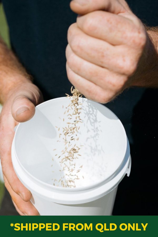 Ryegrass Seed 1 kg