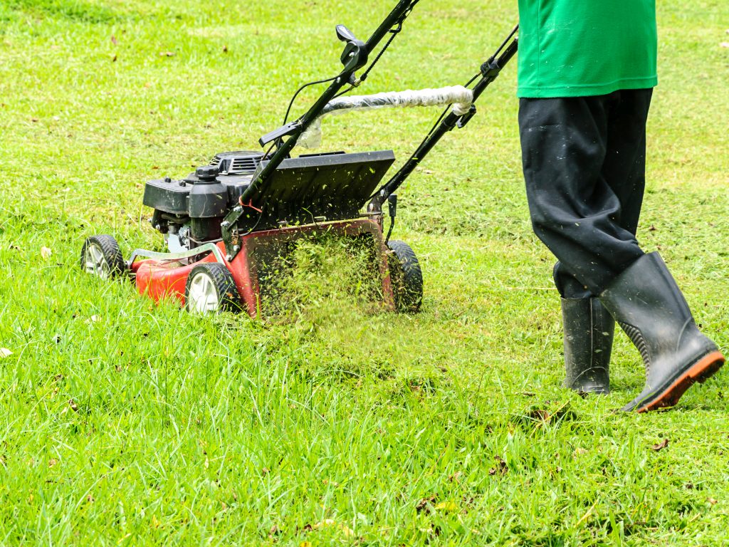 Man Mowing his Lawn