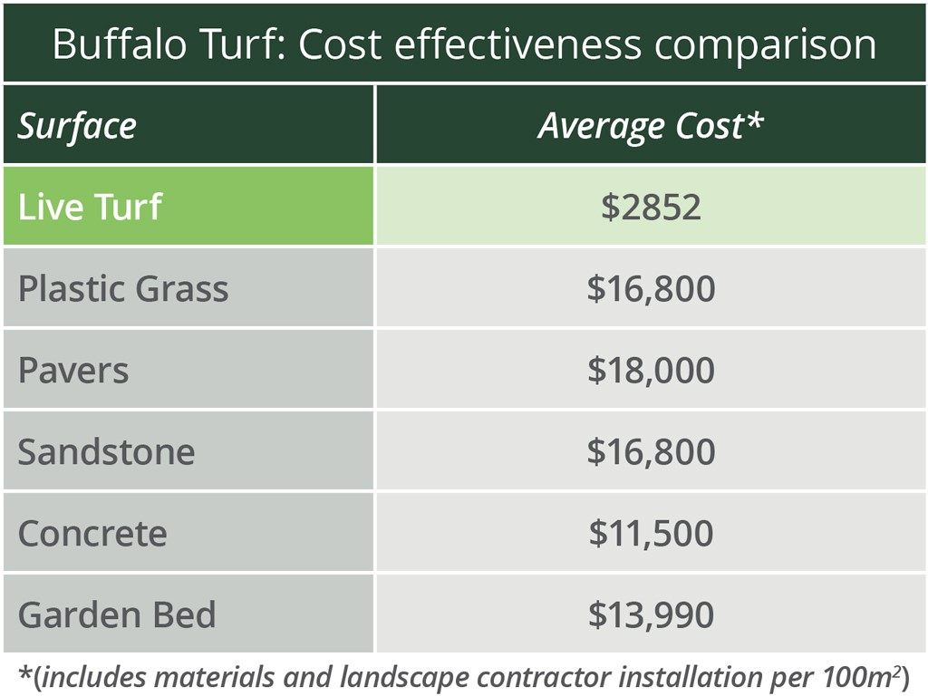 Buffalo Turf Is The Most Cost Effective Landscape My Home Turf