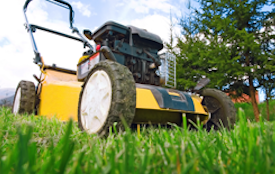 Mowing an overgrown Buffalo Lawn