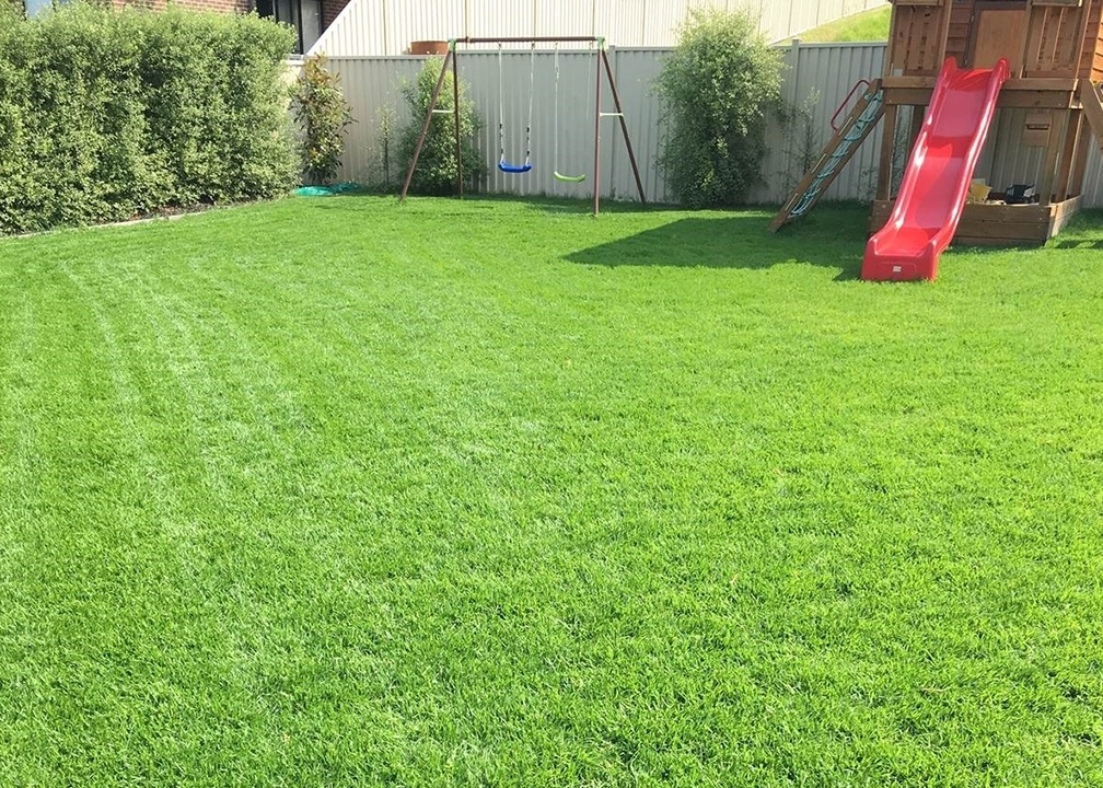Buy Artificial Grass ( Wanneroo) thumbnail