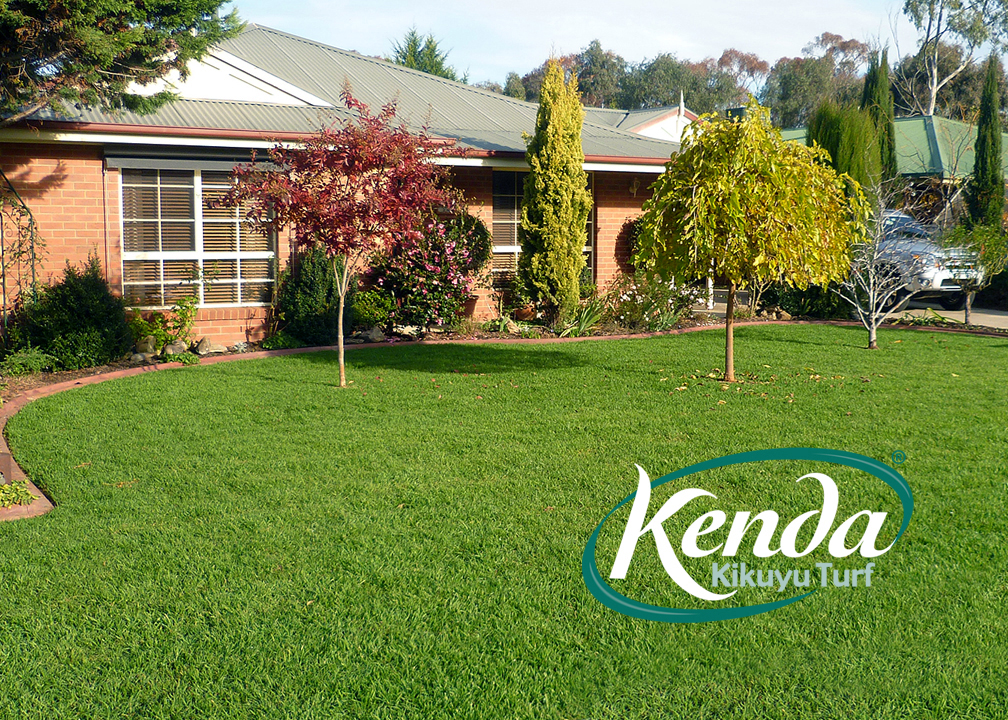Kenda Kikuyu Lawn in Sydney NSW
