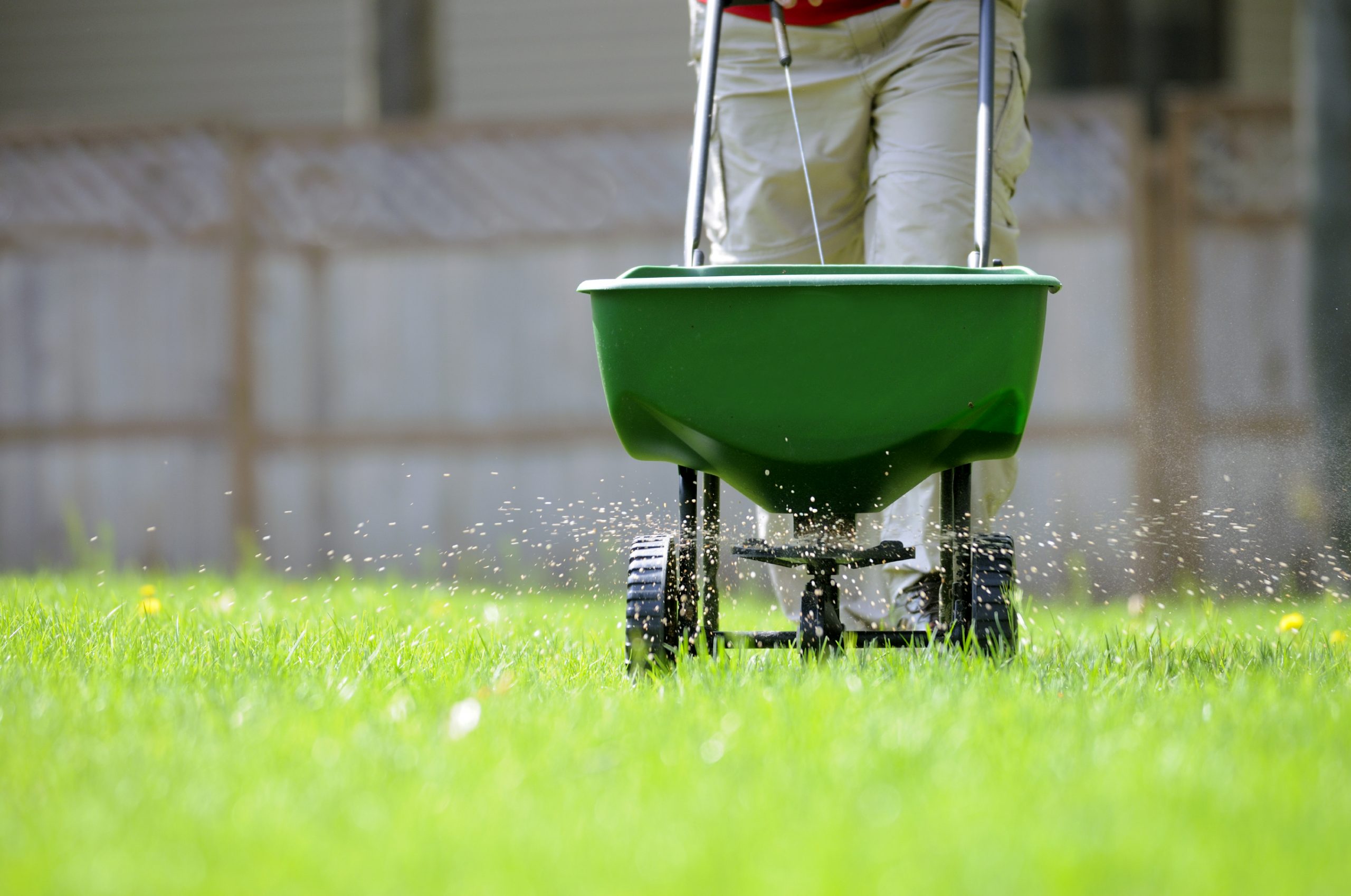 How to measure your lawn for fertiliser application