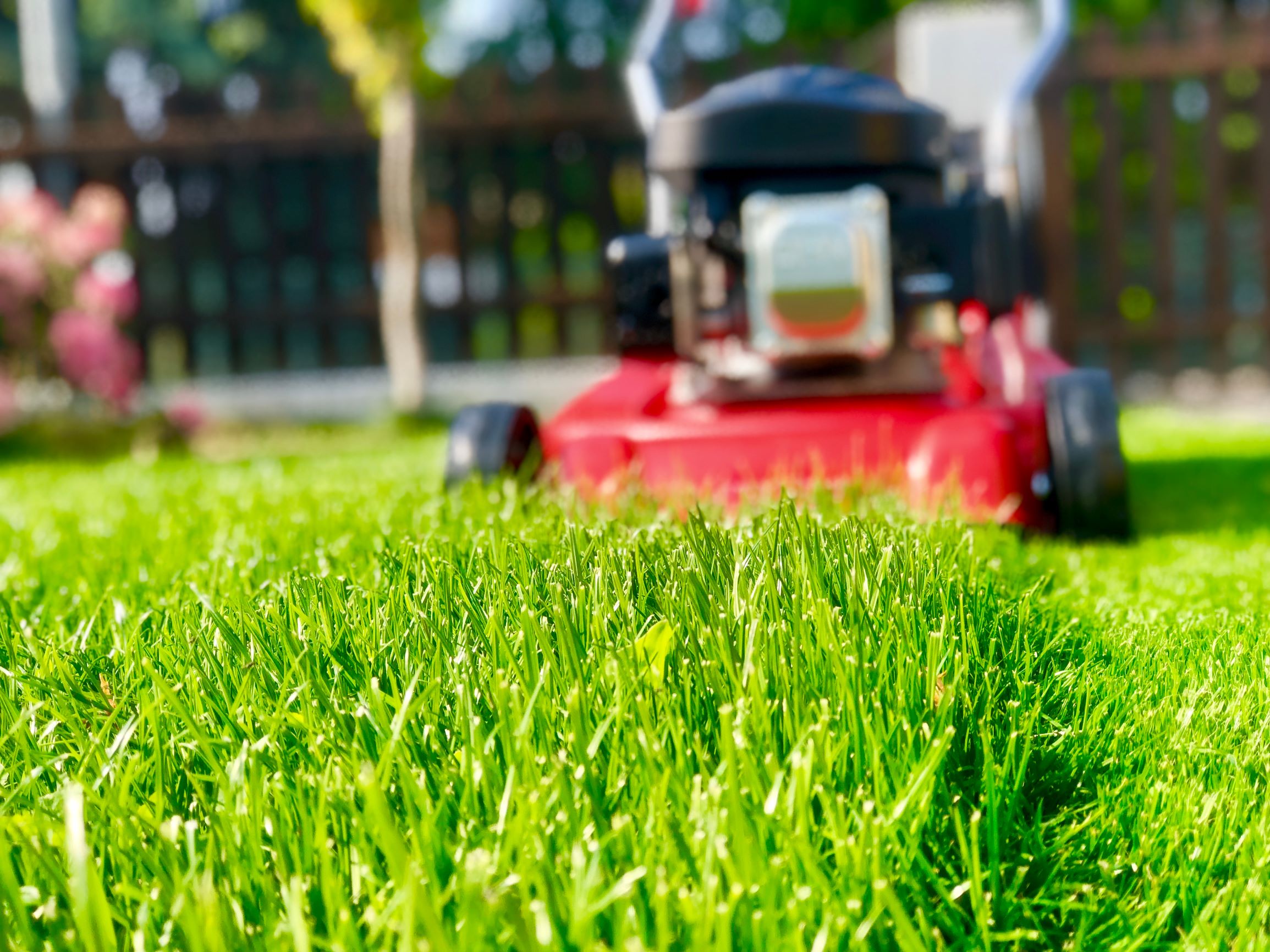 mowing lawn