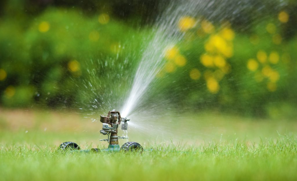 Lawn Watering & Herbicide Treatments