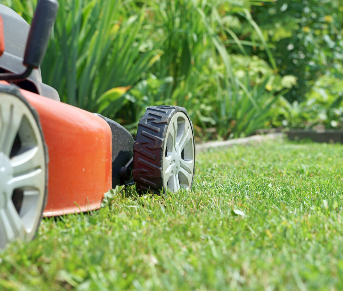 The Ultimate Lawn Care & Maintenance Guide | myhomeTURF