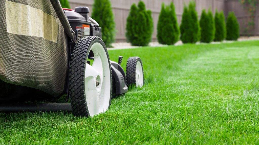 lawn mower on green turf