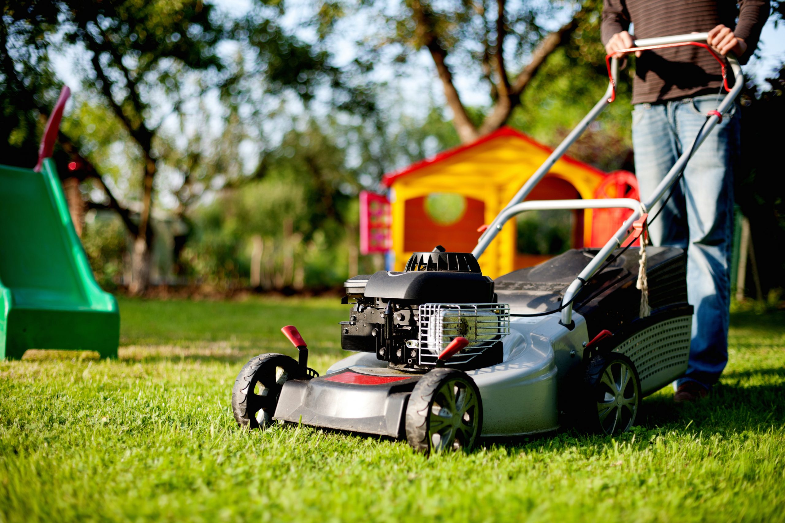 Lawn Mower Buyers Guide