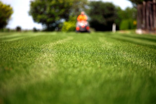 Groud shot of a freshly mowed lawn