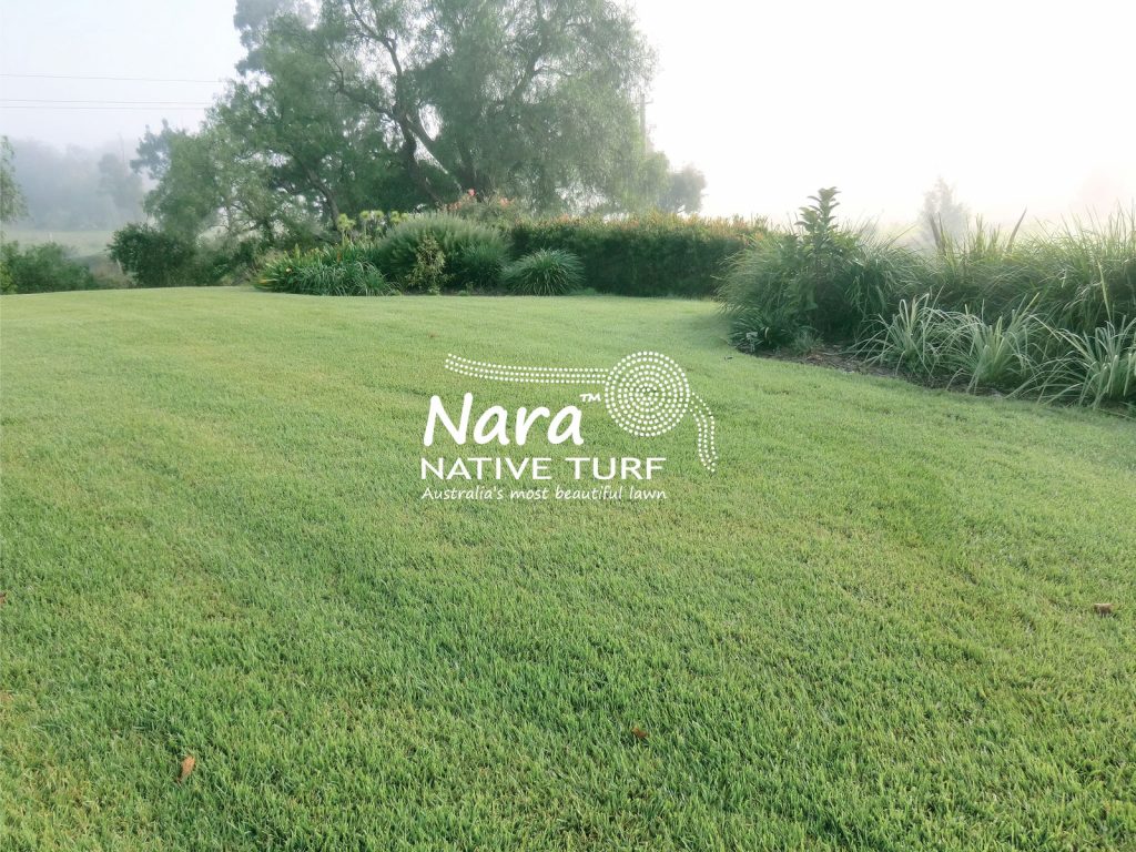 Pialba Turf Supplies