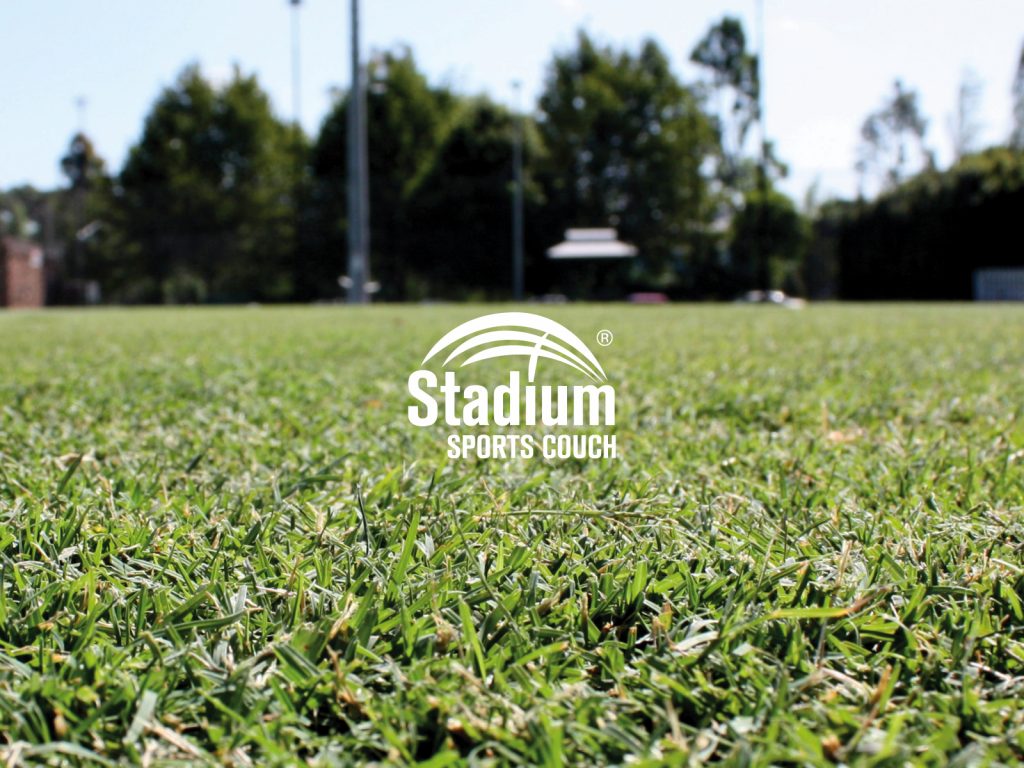 Stadium Sports Couch - Drought Tolerant Lawn Variety