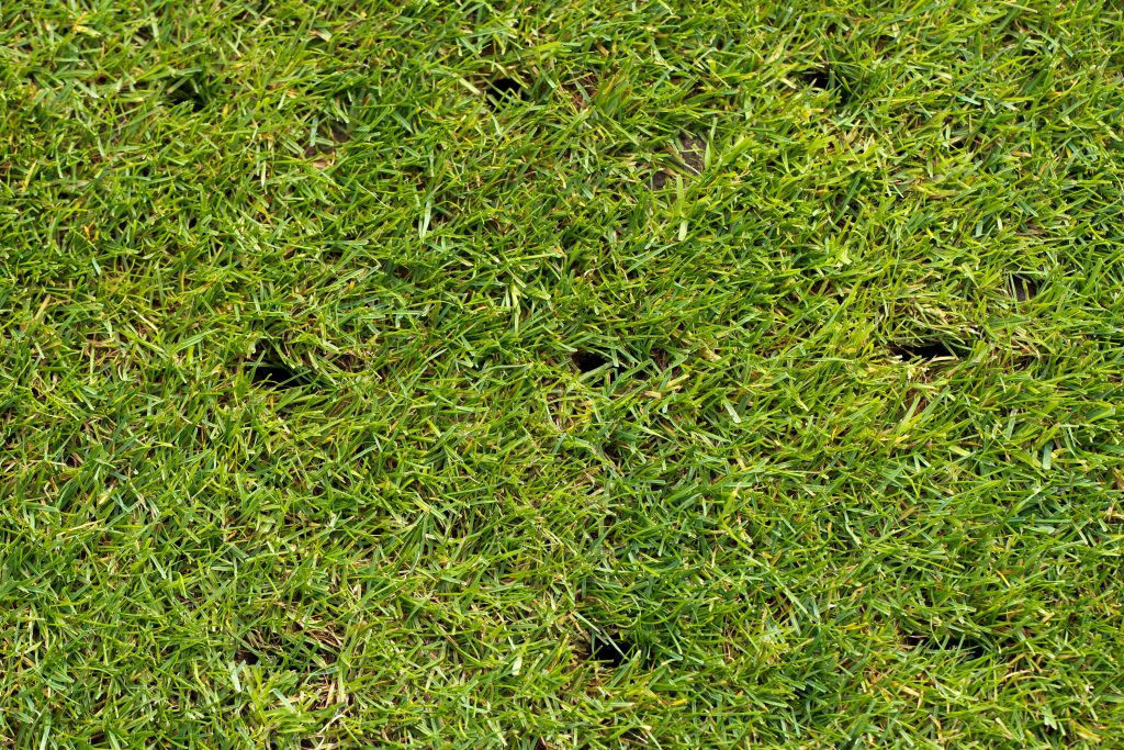 Top Methods To Repair A Hard Lawn Myhometurf