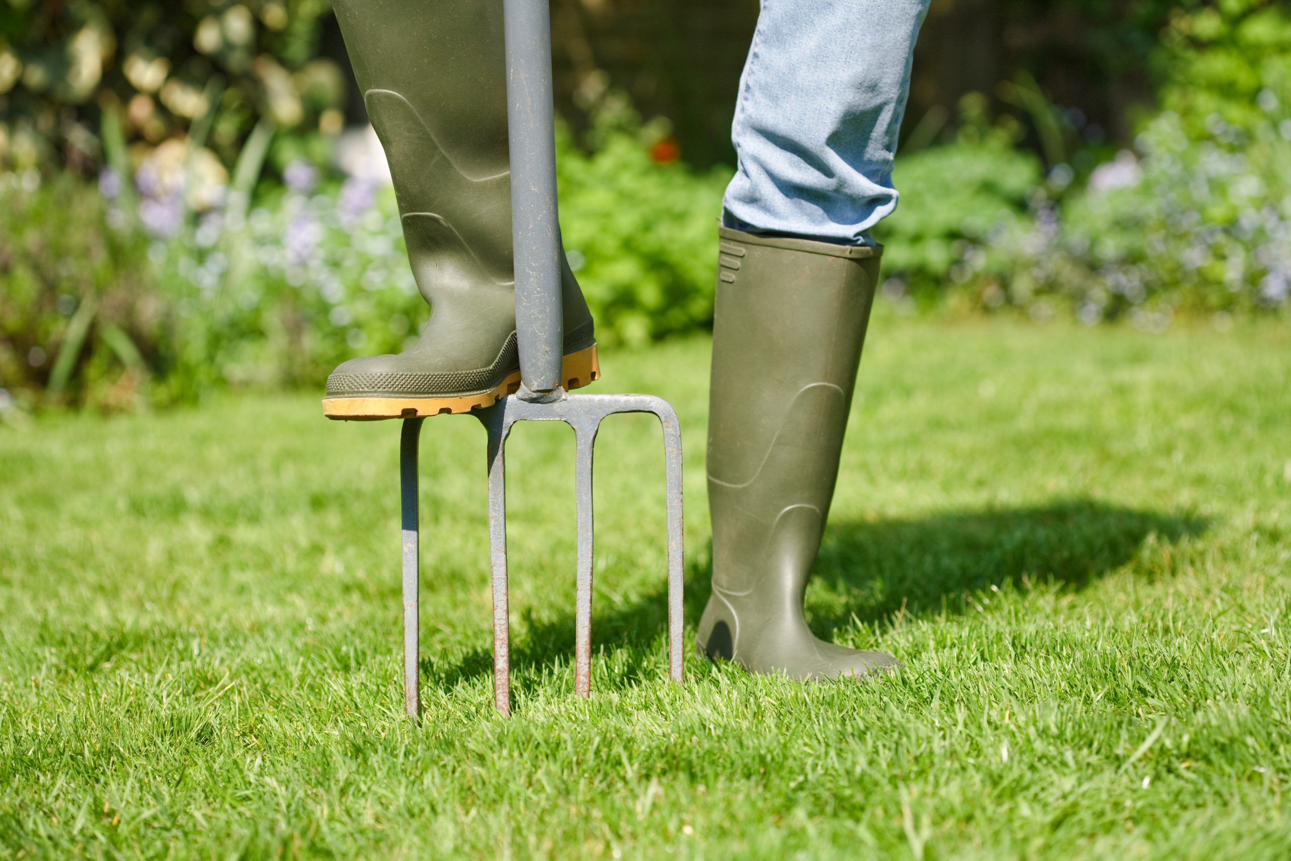 when-should-i-aerate-my-lawn-myhometurf