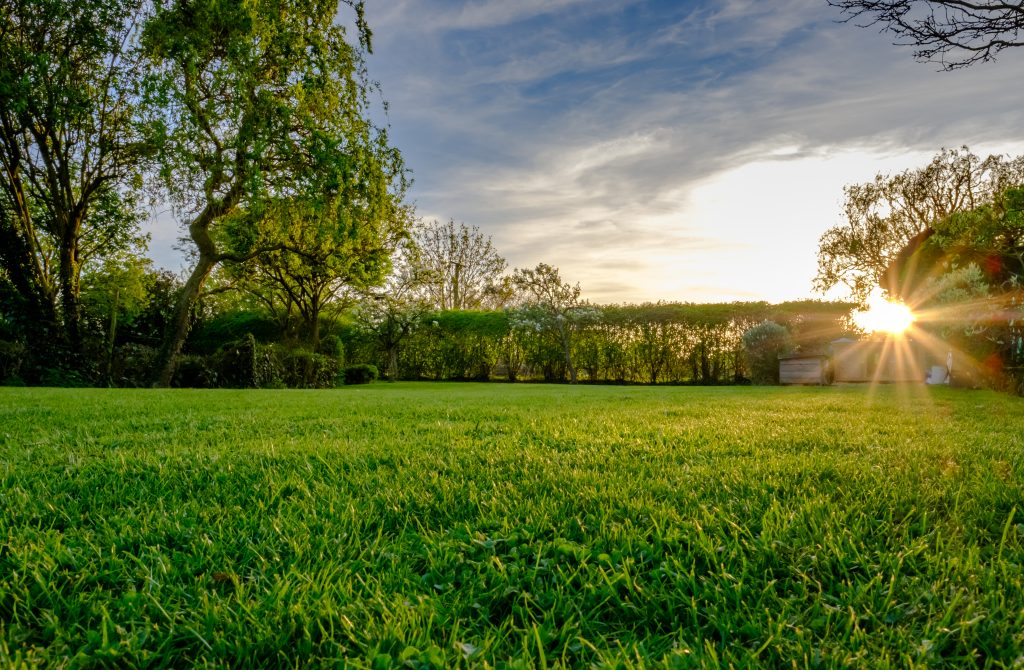 Australian backyard at sunset. 