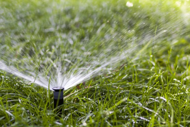 Lawn water sprinkler spraying water over grass in garden on a hot summer day. Automatic watering lawns.