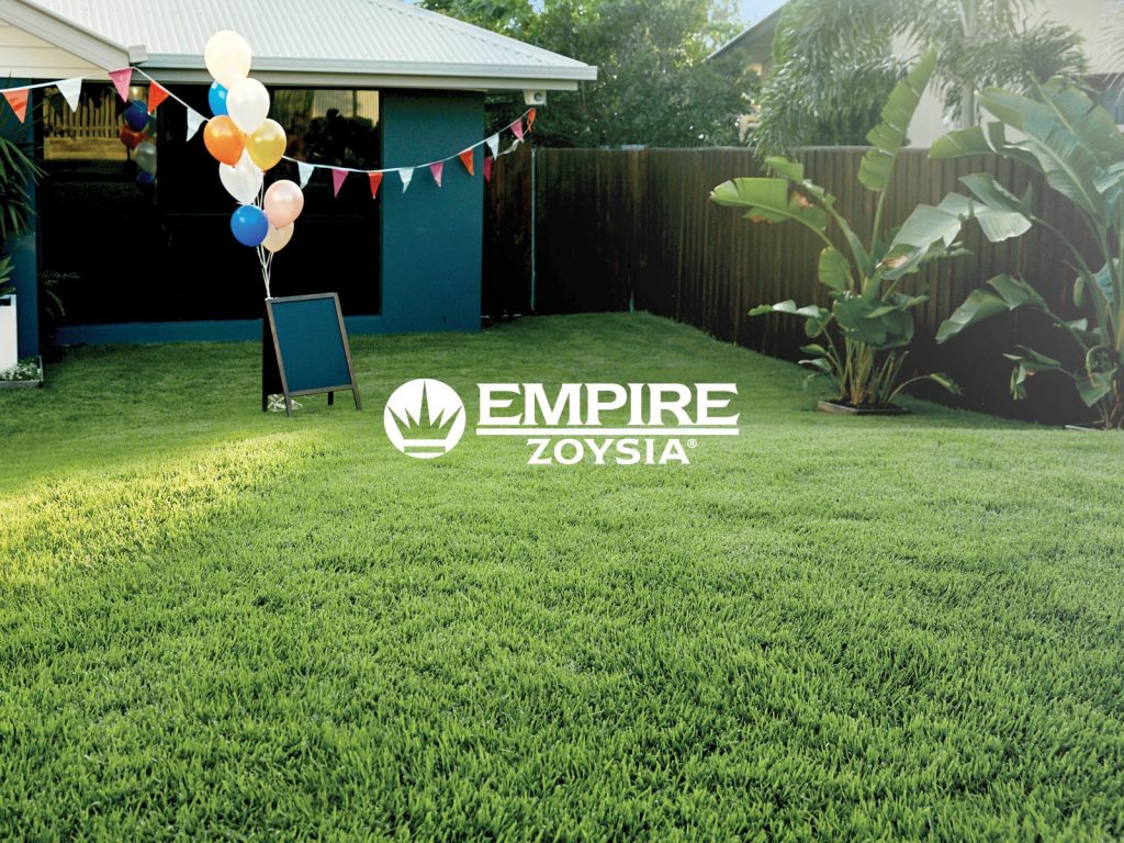 Empire Zoysia Turf - Perfect for low Maintenance Sydney homes