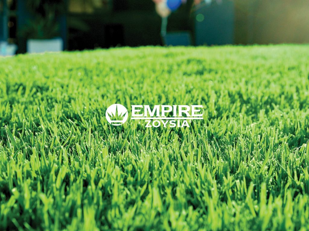 Turfworks Group – Bay Turf