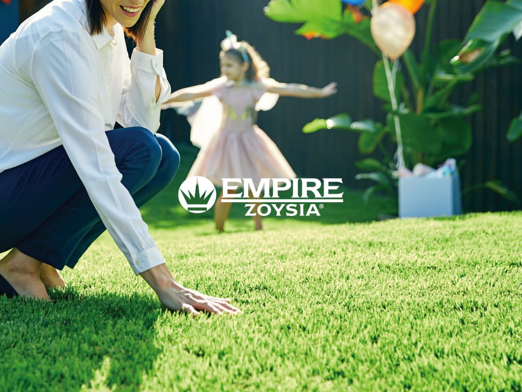 Empire Zoysia Dürretolerante Rasensorte