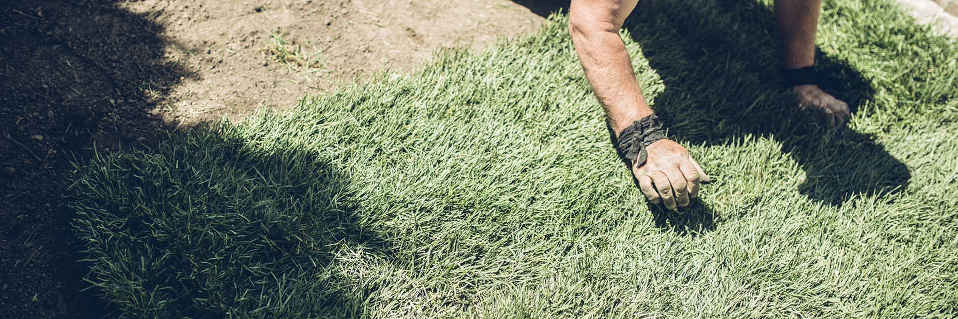 Man standing on Australian grass supplied by one of myhomeTURF's local growers.