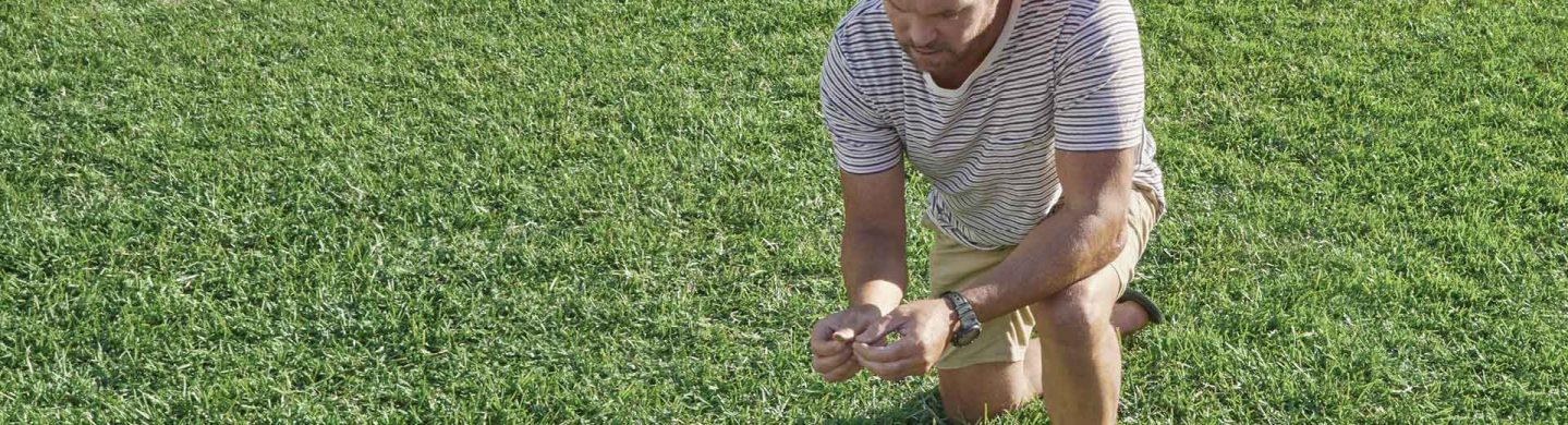 Man Admiring Dark Green Prestige Buffalo Turf