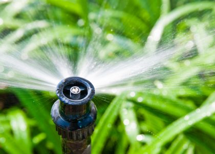 watering a green lawn