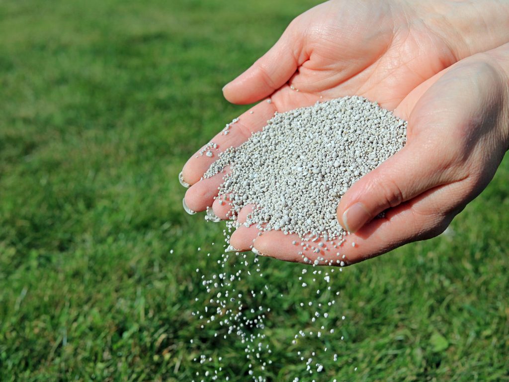 fertiliser sprinkled onto lawn