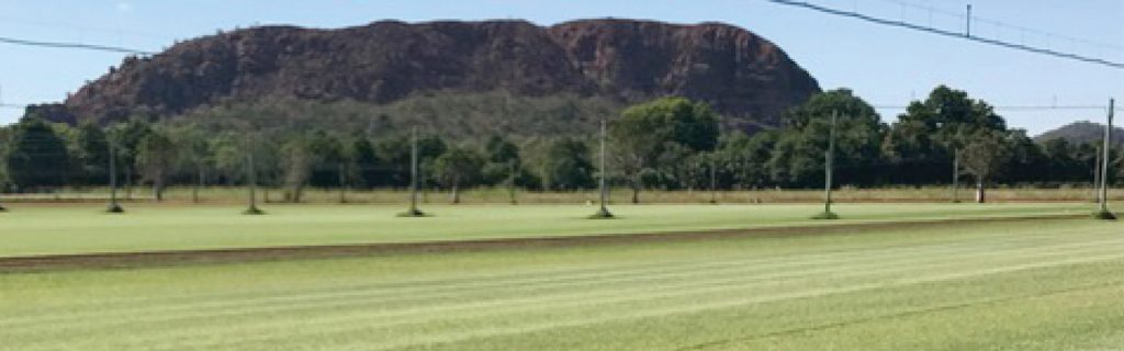 Ord Valley Turf