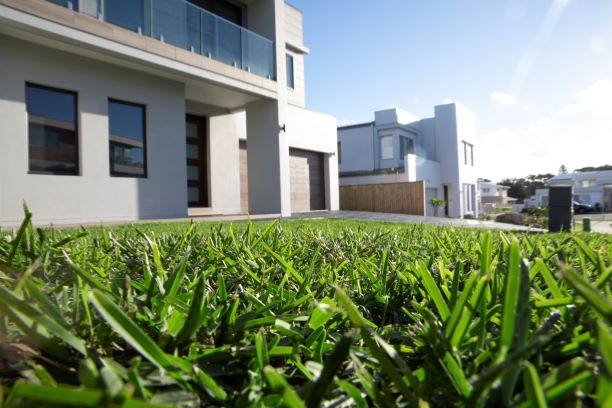 Prestige Buffalo Grass Layed in Front Yard