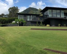 Nara Zoysia Layed in Large Open Backyard