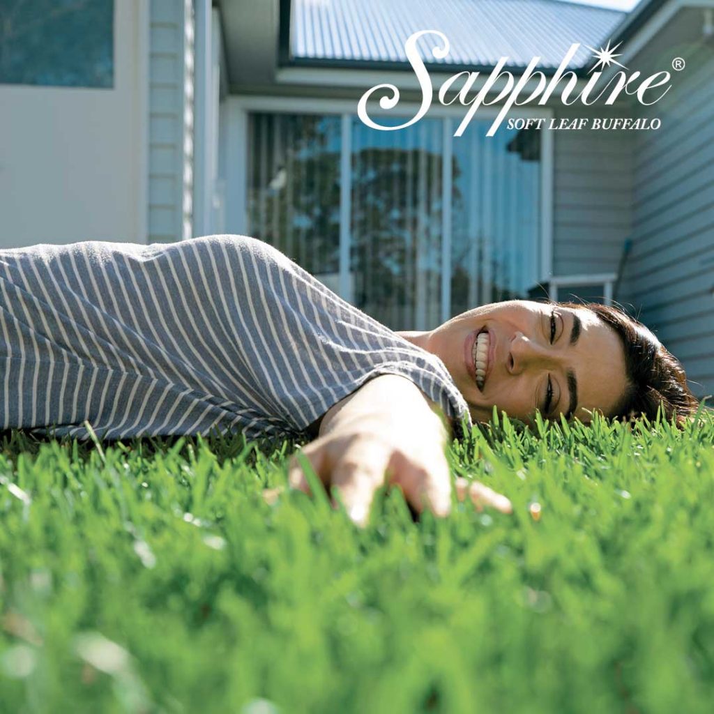 Woman Lying on Buffalo Sapphire Turf