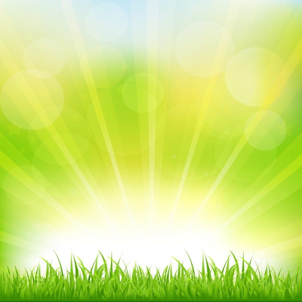 Top 12 How to take care of lawn 3 The Ultimate Turf Maintenance and Lawn Care Guide