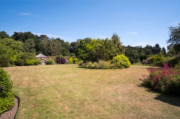 drought affected lawn