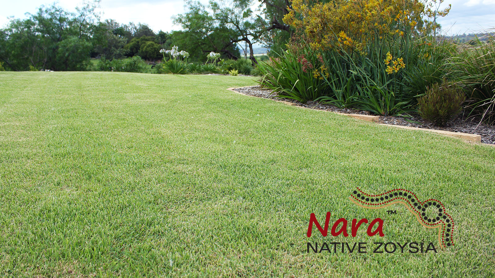 Nara™ Zoysia Grass Lawn Guide myhomeTURF
