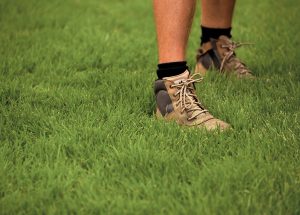 Best drought tolerant turf types