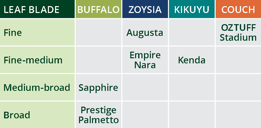 Leaf Blade by Turf Variety