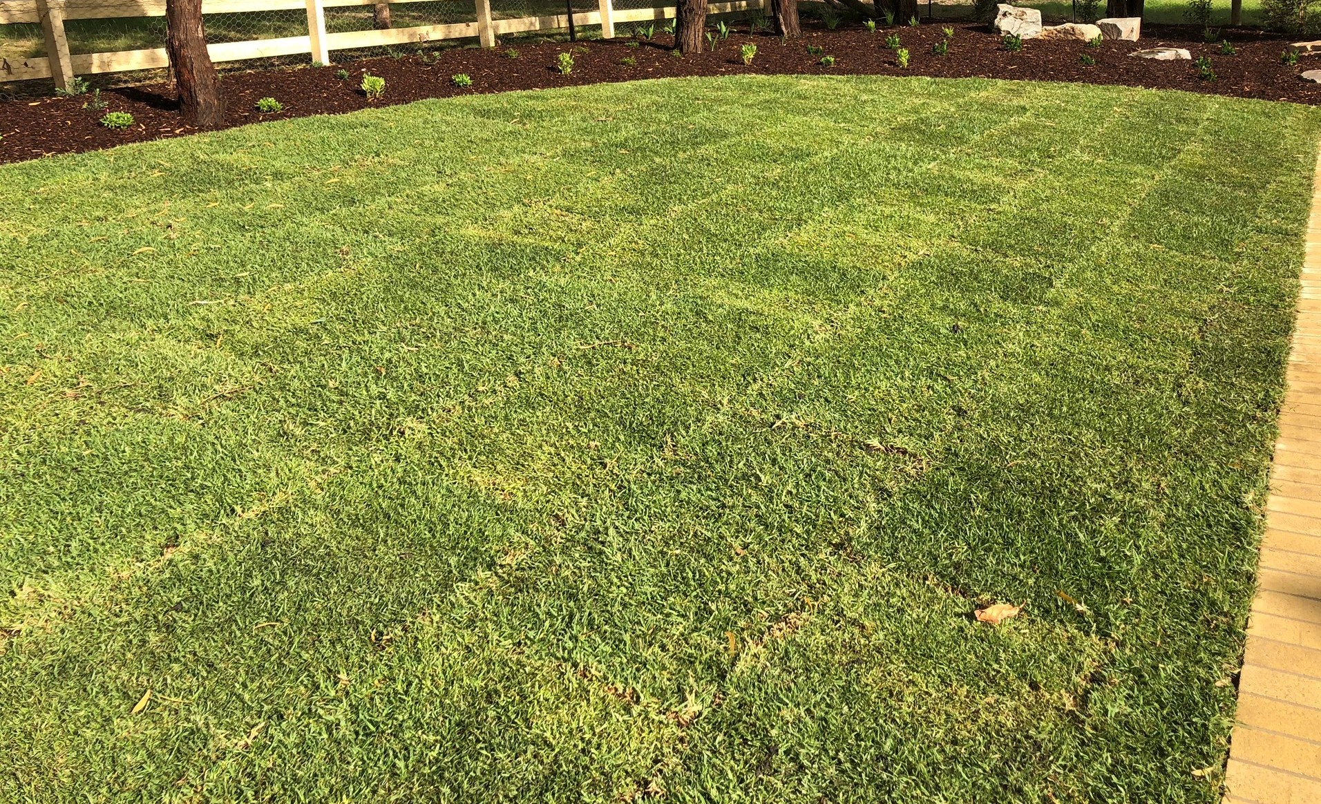 The Ultimate Lawn Care & Maintenance Guide | myhomeTURF