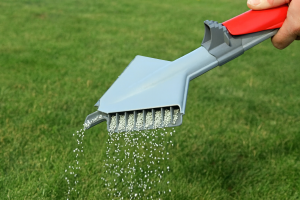Lawn care after heavy rains