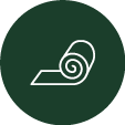 turf roll Icon