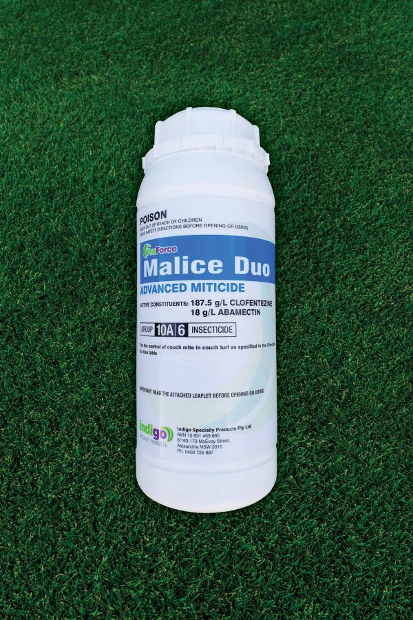 Indigo Malice Duo 1L