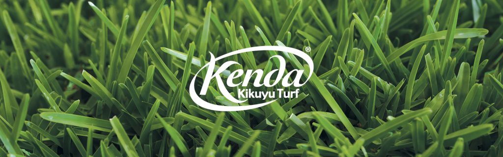 Mildura Premium Turf