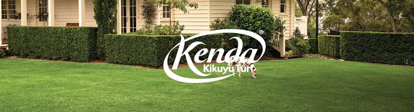 Kenda Kikuyu turf